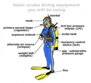 III. Safety Measures for Scuba Diving
