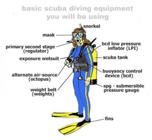 Diving Gear: How to chose the right equipment